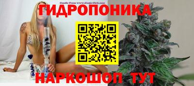ПСИЛОЦИБИНОВЫЕ ГРИБЫ Нарткала