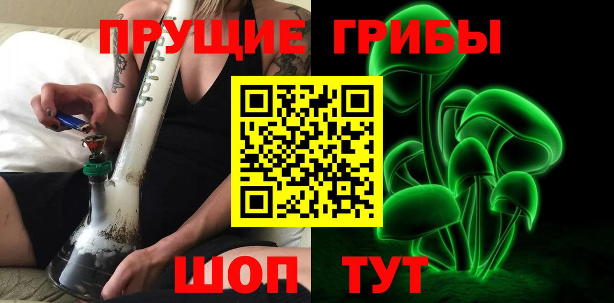 Псилоцибиновые грибы прущие грибы  Вход с VPN  где можно купить наркотик  Тайшет  Псилоцибиновые грибы GOLDEN TEACHER 