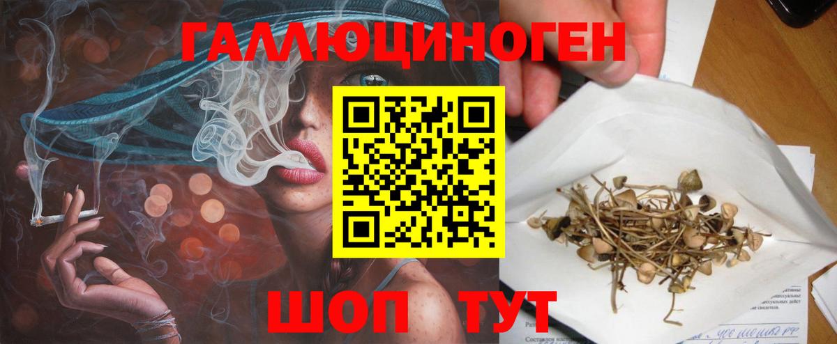 Псилоцибиновые грибы ЛСД Тайшет