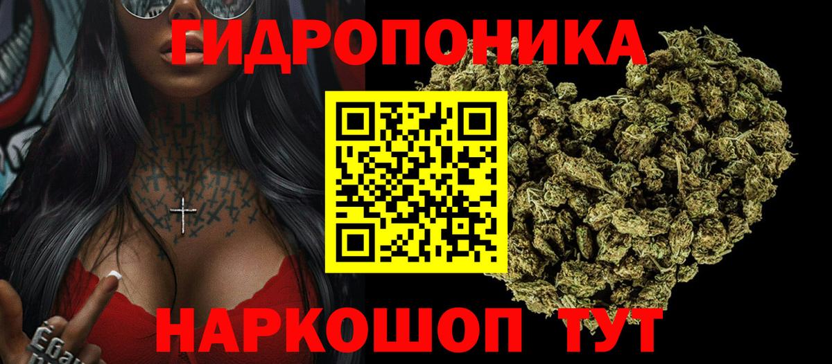 Канабис индика Тайшет